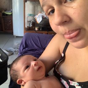 Amarylis, Família em Lagarto