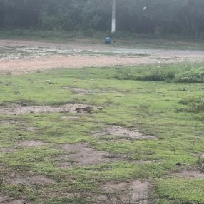 Cynthia Correia, Família em São Lourenço da Mata