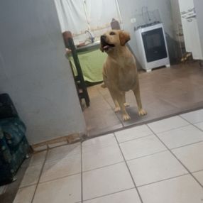 Maria toloto, Família em Ourinhos