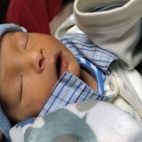 Ingrid, Família em Rolândia