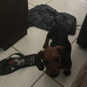 Gabriel, Família em Mineiros