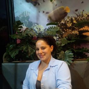 Ana, Babá em Embu das Artes