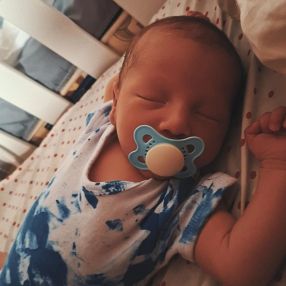 Lyzin, Família em Palmas