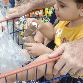 Ysabelle leão, Família em Paulista
