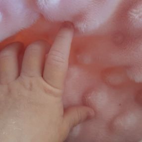 Elaine, Família em Cambé