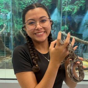 Taina, Babá em Mirassol