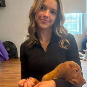 Katelynn, Babysitter à Saint-Lazare
