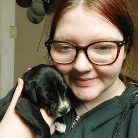 Daphne, Babysitter in Quinte West
