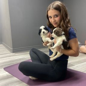Avery, Babysitter in East Gwillimbury