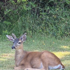 Radek, Family in Sooke