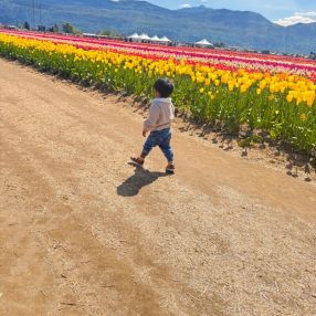 Amith, Family in Victoria