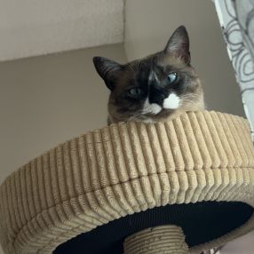 Mustafa, Famille à Regina