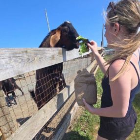 Julie, Babysitter in Mount Pearl