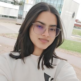 Navneet, Babysitter à Bowmanville