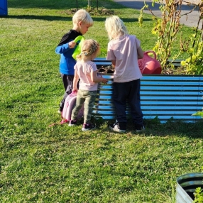 Ashley, Famille à Brantford