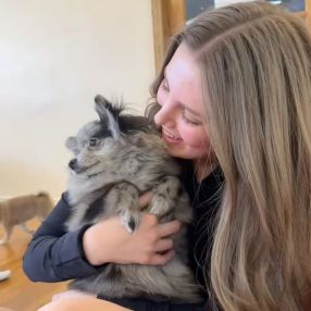 Simone, Babysitter in Edmonton