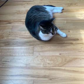 Corrie, Family in Greater Sudbury