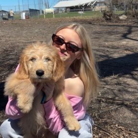 Hannah, Babysitter in Orillia