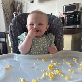 Jordan, Babysitter in Lennox and Addington County