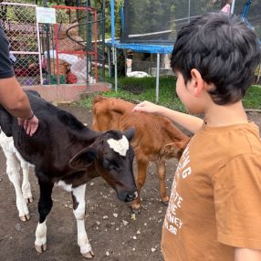 Dulce, Familia en Envigado