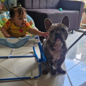 ANDRES, Familia en Medellín