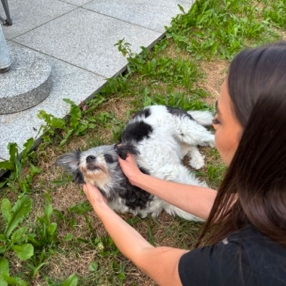 Anna, Babysitter in Freising