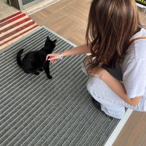 Finja, Babysitter in Leck