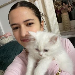 Nurisa, Babysitter in Steinfurt