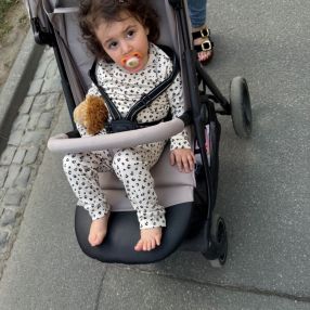 Scharin, Familie in Darmstadt
