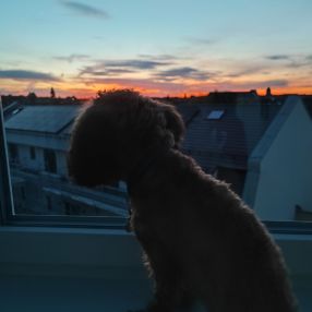 Sandra, Familie in Nürnberg