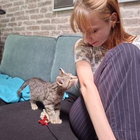 Karolina, Babysitter in Halle (Saale)