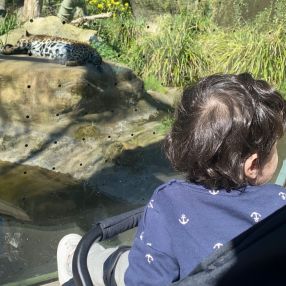 Farah, Familie in Krefeld