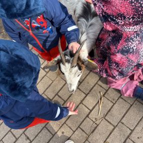 Milena, Familie in Walsrode