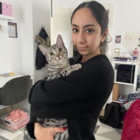 Esma, Babysitter in Laatzen