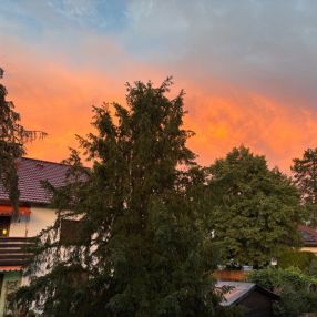 Alysha, Familie in Schwabach