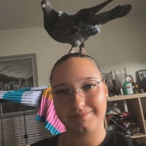Jolina, Babysitter in Bremerhaven