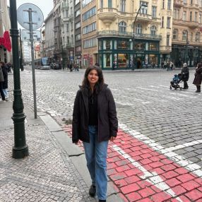 Ruvighna, Babysitter in Nürnberg