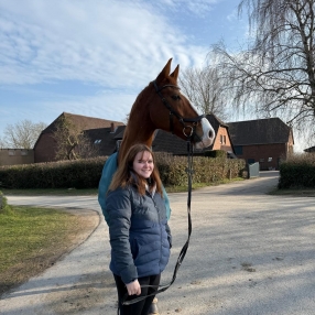 Mareile, Babysitter in Hemsbach