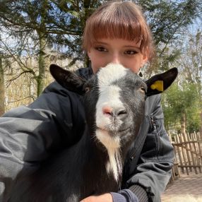 Ronja, Babysitter in Arnsberg