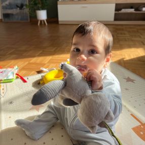 Maya, Family in Münster