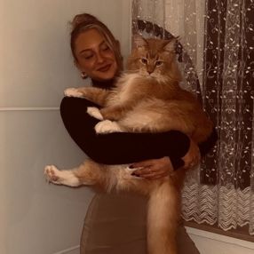 Lisa, Babysitter in Werl