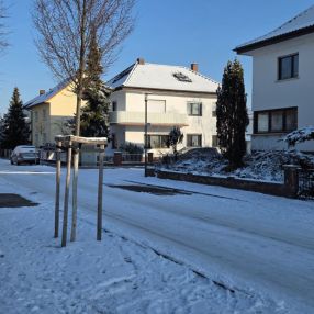 Mr, Familie in Brühl
