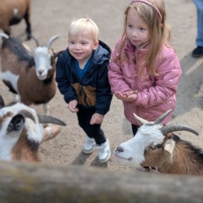 Nicole, Familie in Grefrath