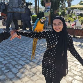 Amani, Babysitter in Ilsede