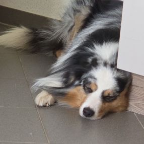 Saskia, Familie in Goch