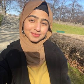 Parwish, Babysitter in Erlangen