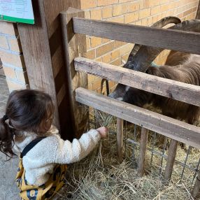 Tatiana, Familie in Spremberg