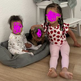 Beril, Familie in Essen