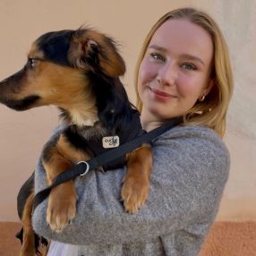 Fiene, Babysitter in Hamburg