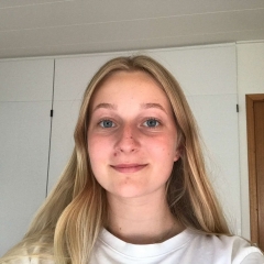 Babysitter Gry in Virum